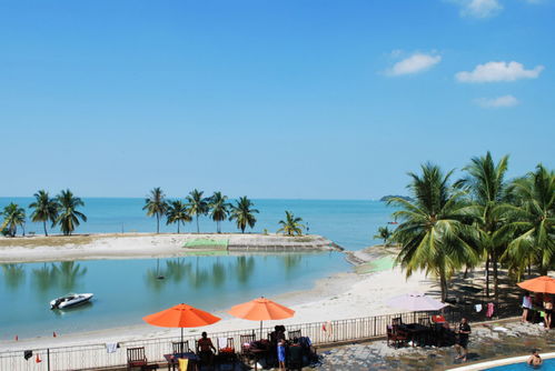 海外市場(chǎng)再添新篇 成功簽約馬中關(guān)丹產(chǎn)業(yè)園公輔單元節(jié)能環(huán)保工程